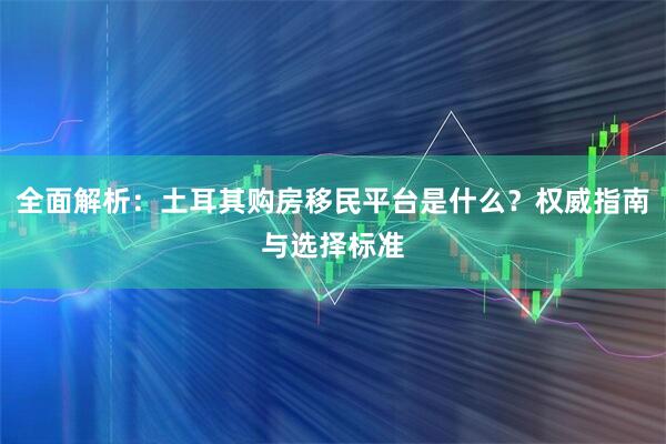 全面解析：土耳其购房移民平台是什么？权威指南与选择标准