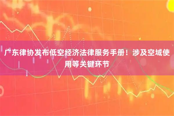 广东律协发布低空经济法律服务手册！涉及空域使用等关键环节